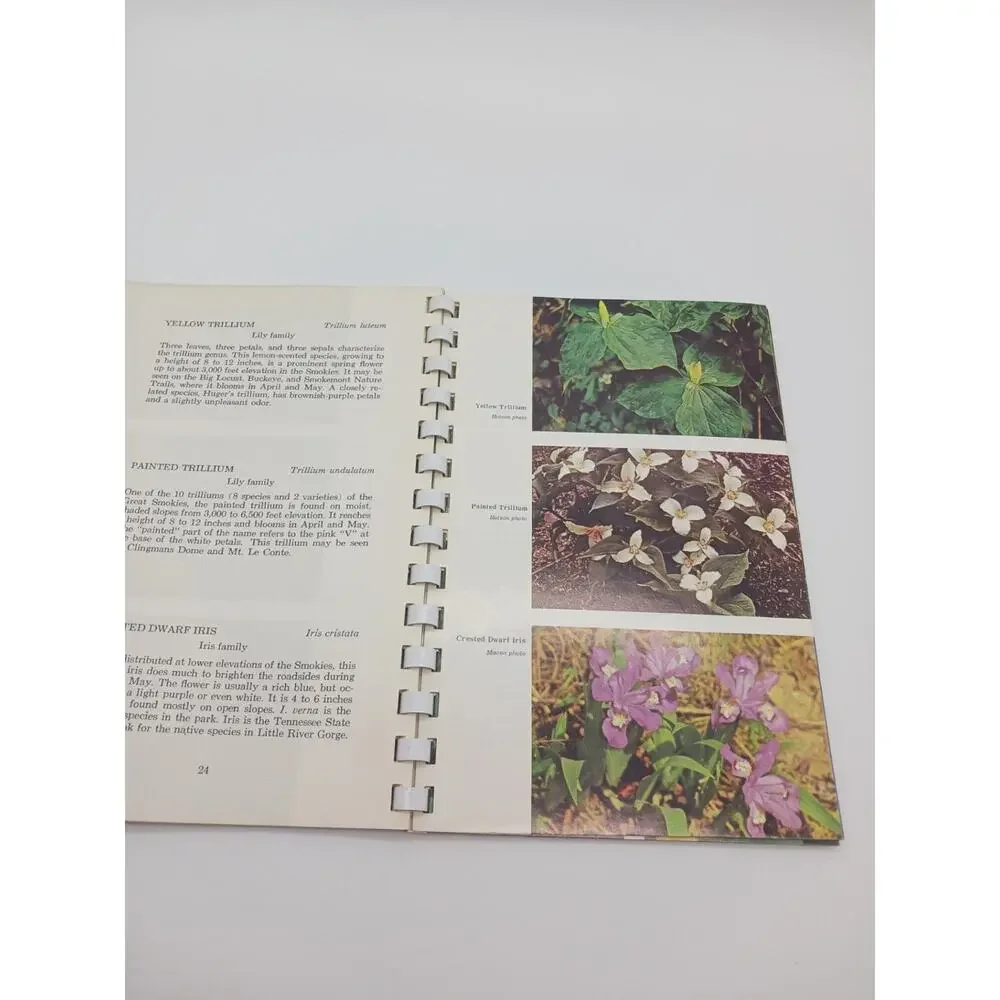 Great Smoky Mountains Wildflowers Campbell 1964 Enlarged Edition Botany UT Press